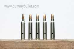 .223 remington dummy rounds nickel