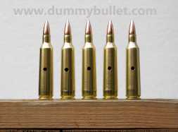 22-250 action proving dummy rounds