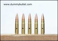 300 AAC Blackout action proving dummy rounds