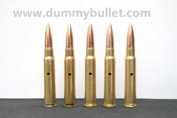Inert - 5.56 NATO Dummy rounds - Detroit Ammo Co. - Shop Ammo